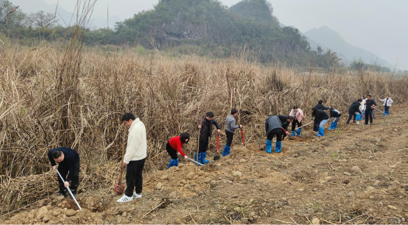 植樹圖片3.png